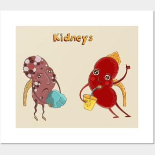 kidneys healthy vs unhealthy Posters and Art